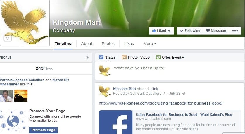 How to Set Up A Business Facebook Page Wael Kaheel Blog