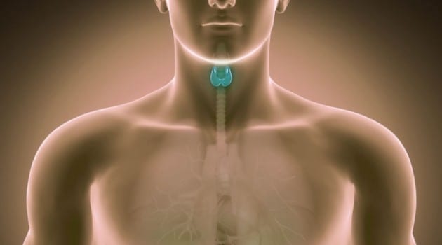 What Causes Thyroid Problems